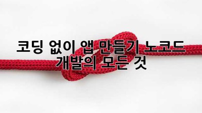 코딩 없이 앱 만들기: 노코드 개발의 모든 것